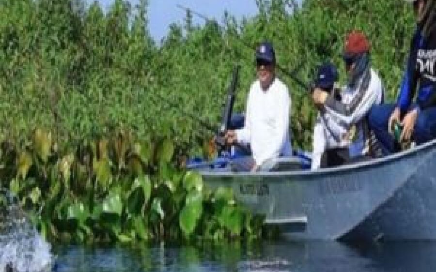 Piracema começará no dia 5 de novembro; confira o que é permitido durante este período