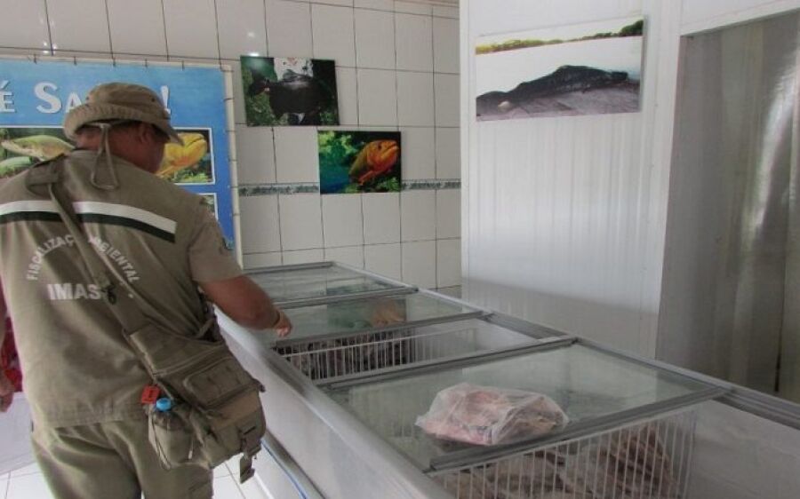 Operação Piracema: fiscalização de peixarias e restaurantes começa nesta segunda-feira