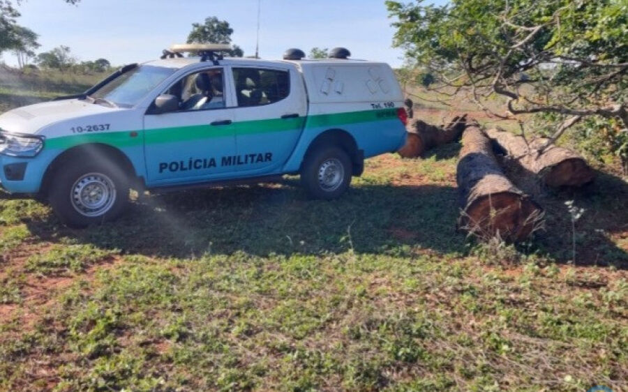 PMA autua fazendeiro por exploração de madeira em área de reserva legal