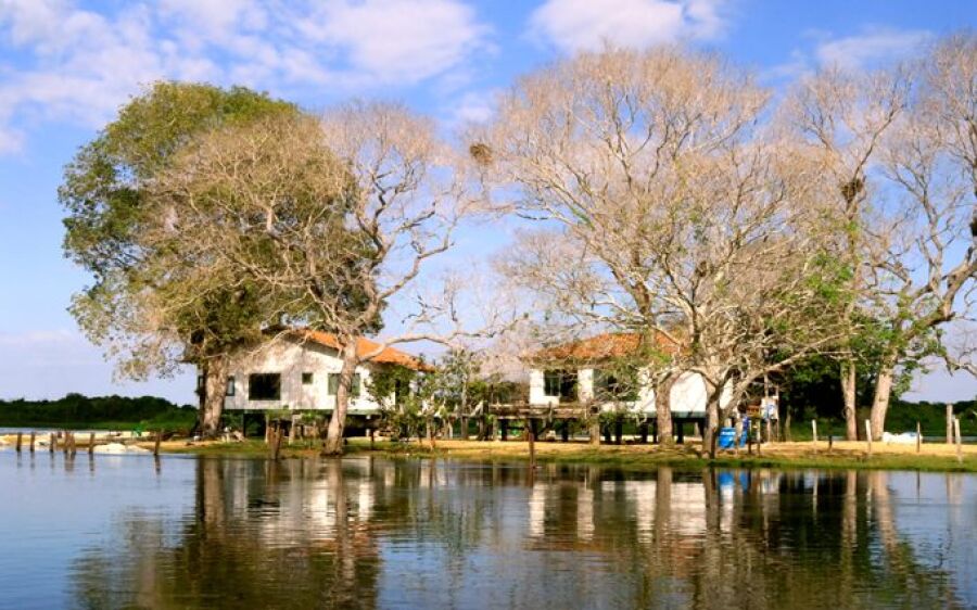 Dia do Pantanal: investimentos do Estado levam tecnologia e dignidade