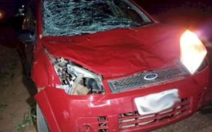 Na MS-141, carro colide contra vaca e mulher é levada para hospital