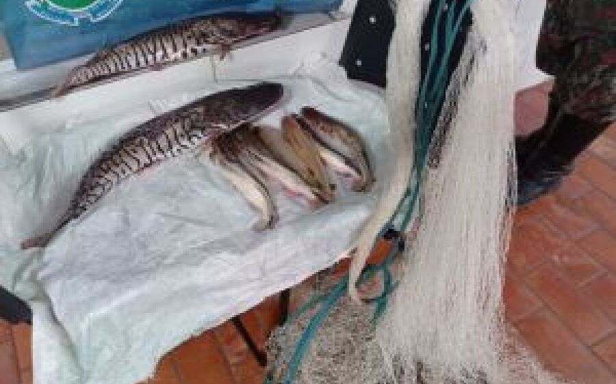 PMA de Coxim prende e autua em R$ 1,1 mil infrator pescando em piracema, no rio Taquari