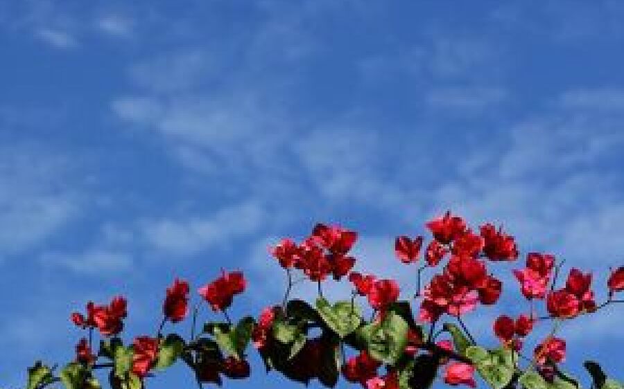 Tempo firme e calor marcam começo da semana em MS