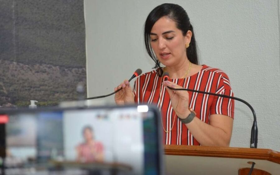 Adriana defende debate, pede reajuste e reestruturação de carreira para  policiais e bombeiros