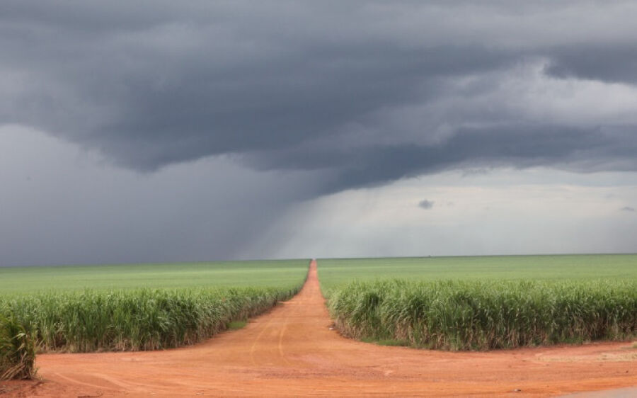 Segunda-feira será chuvosa, com baixas temperaturas em Mato Grosso do Sul