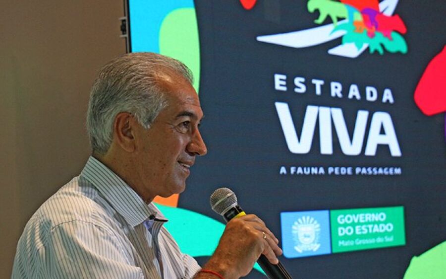 Governo e Ongs lançam manual para proteger animais silvestres de atropelamentos nas rodovias