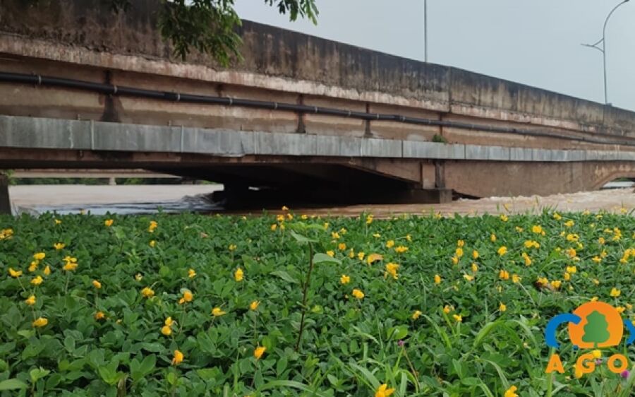 Nível do Rio Taquari sobe, mas não oferece riscos a população ribeirinha de Coxim