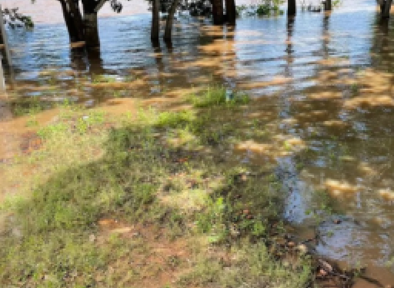 Após chuvas de 112,2 milímetros, rio Taquari quase atinge nível crítico e já alaga áreas ribeirinhas