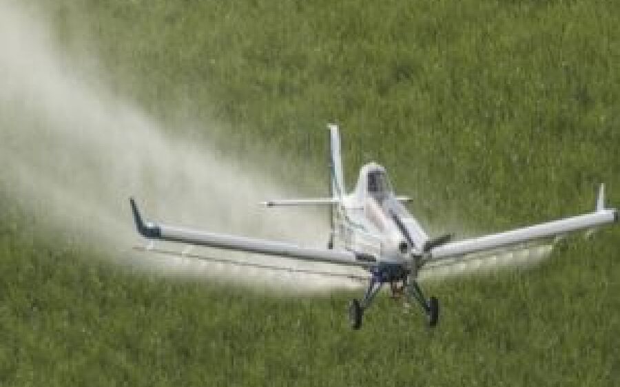 Justiça Federal não autoriza pulverização por aeronave em área florestal de Mato Grosso do Sul