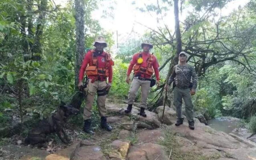 Bombeiros encerram busca por idosa desaparecida em trilha