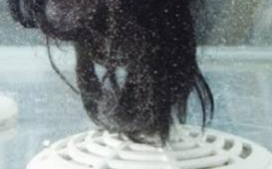 Menina de 9 anos tem cabelo sugado por ralo de piscina e morre em MS