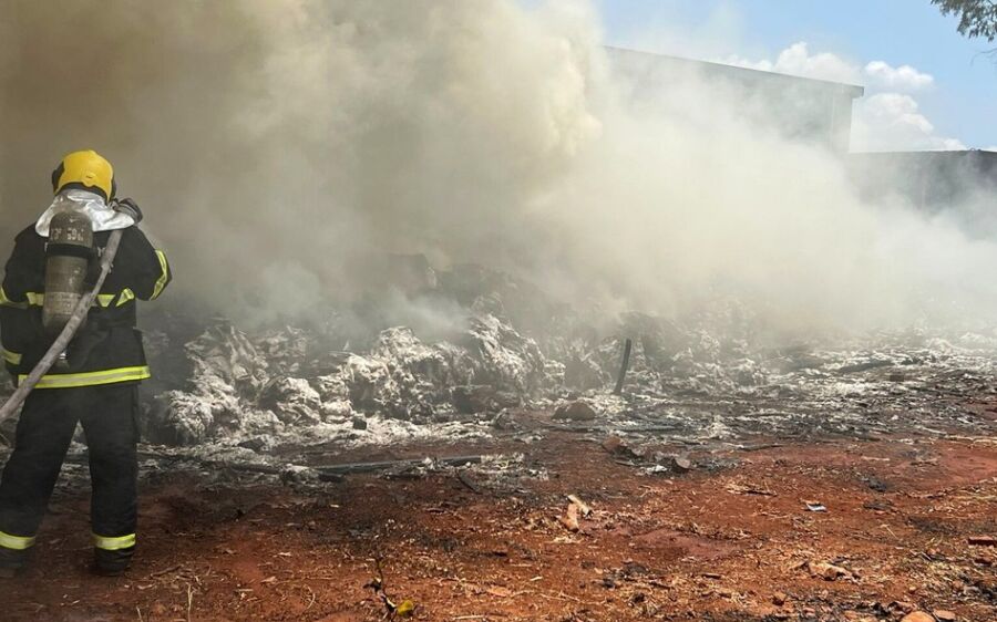 Funcionário tenta destruir ninho de marimbondos com fogo e provoca incêndio de grandes proporção