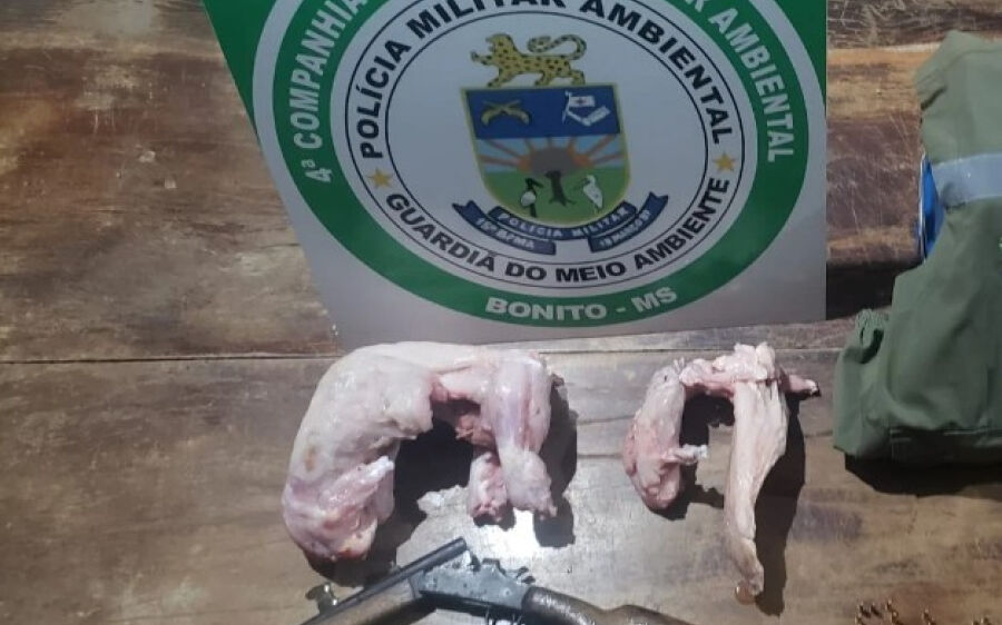 PMA prendem e autuam dois caçadores em R$ 2,5 mil por caça de jacarés e apreendem arma e munições