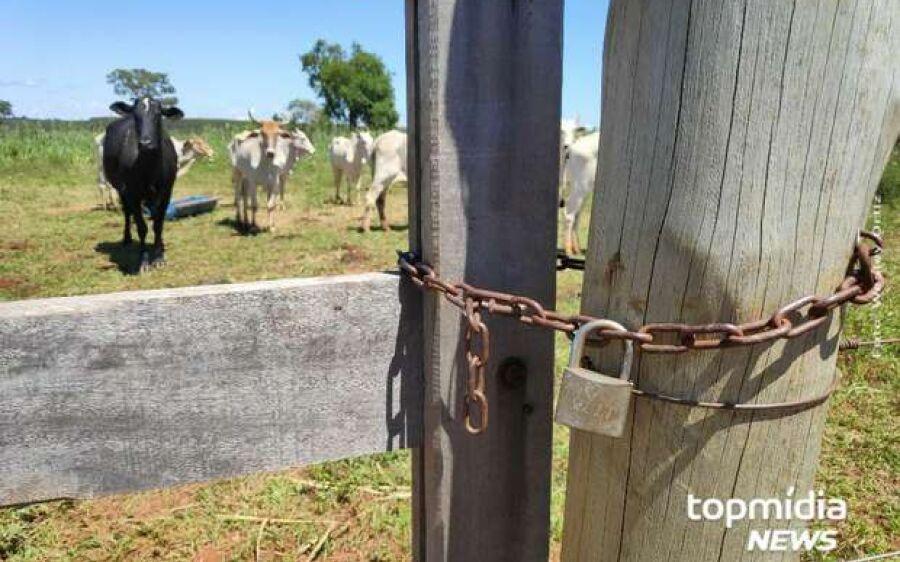 Casal é baleado e homem morre após briga em fazenda no Pantanal