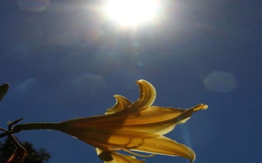 Carnaval terá combinação de sol, calor e pancadas de chuva em Mato Grosso do Sul 