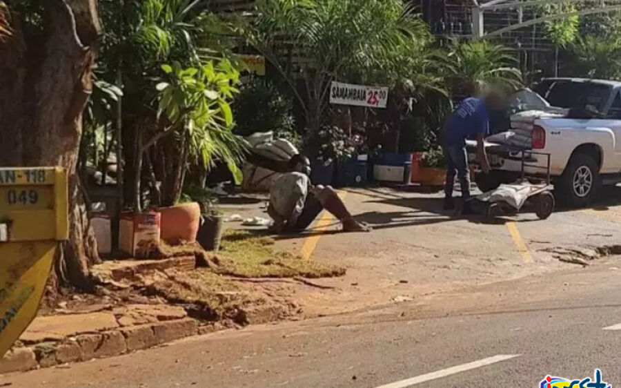 Flagrado dormindo, ladrão de orquídeas é amarrado em floricultura da Capital