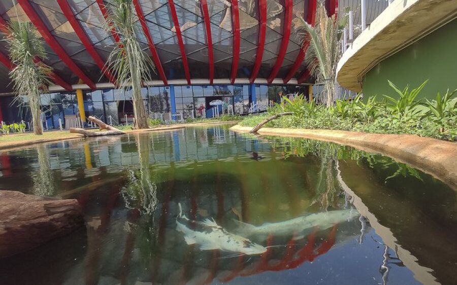 Águas Guariroba vai fornecer e tratar água dos peixes do Aquário do Pantanal