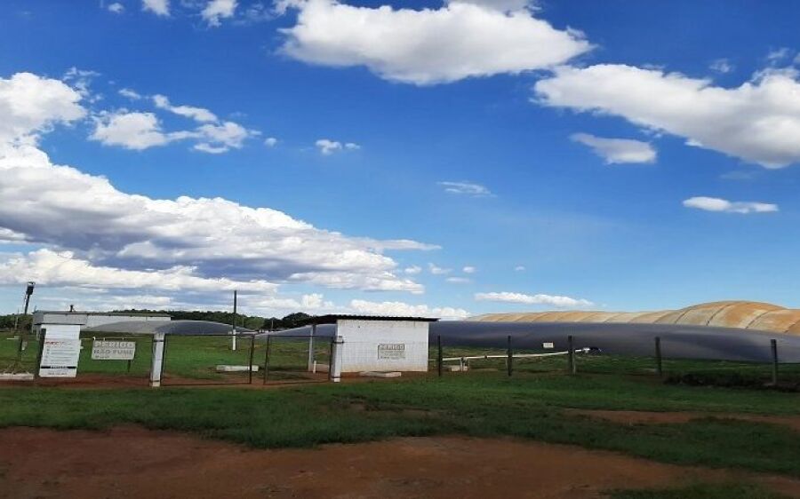 Suinocultura e  setor sucroenergético credenciam MS como protagonista em biometano no pais