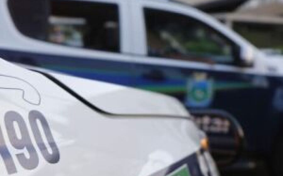 Homem foge após arremessar cachorro várias vezes contra a parede