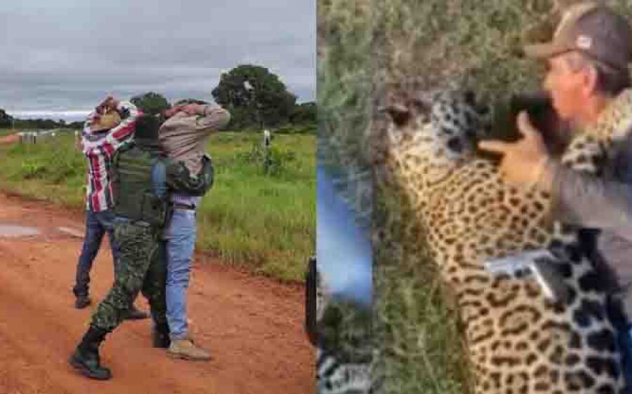 Polícia identifica e faz buscas para prender homem que matou onça-pintada no Pantanal