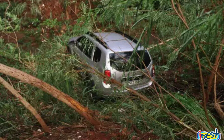 Motorista passa mal, Renault Duster invade mata e cai em córrego