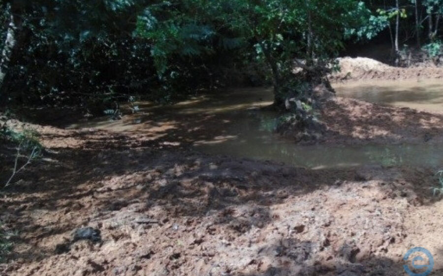 PMA autua infrator por degradação de áreas protegidas em Cassilândia