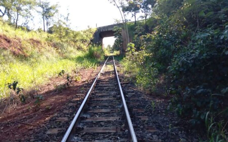 Corpo é encontrado com mãos amarradas em Campo Grande