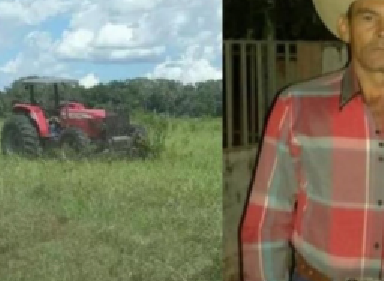 Trabalhador morre após ser atacado por abelhas em fazenda de Pedro Gomes
