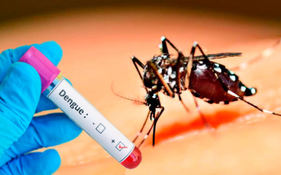 Região Centro-oeste e Coxim em alerta  para casos de Dengue