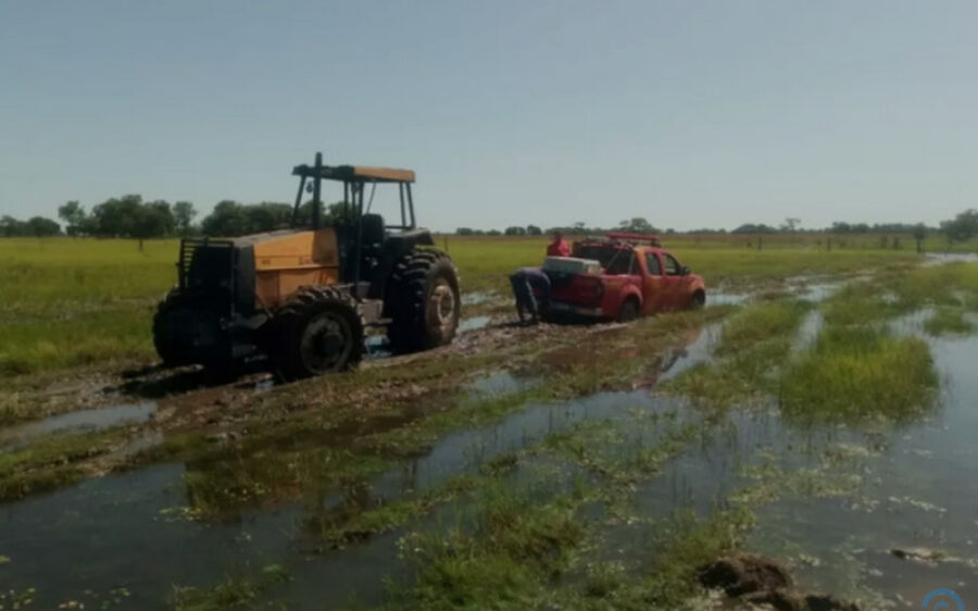 Com ajuda de cão farejador, bombeiros procuram por homem que desapareceu no Pantanal