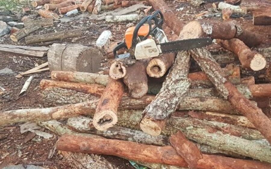 PMA autua infrator em R$ 2 mil por extração de madeira ilegalmente com motosserra