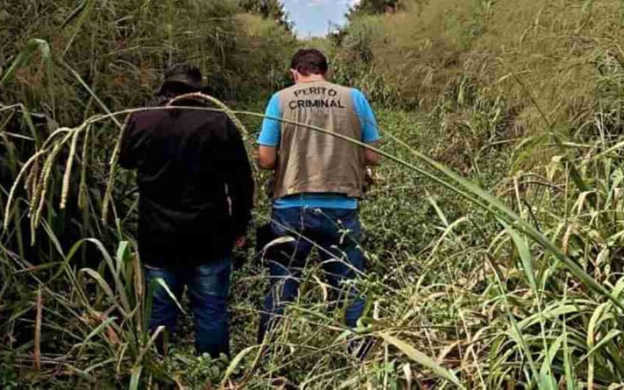 Corpo em avançado estado de decomposição é encontrado em cidade de MS