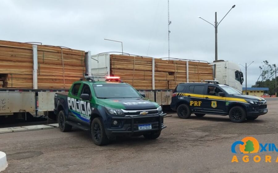 PMA autua empresa em R$ 21 mil devido à carga de madeira ilegal apreendida pela PRF em Coxim