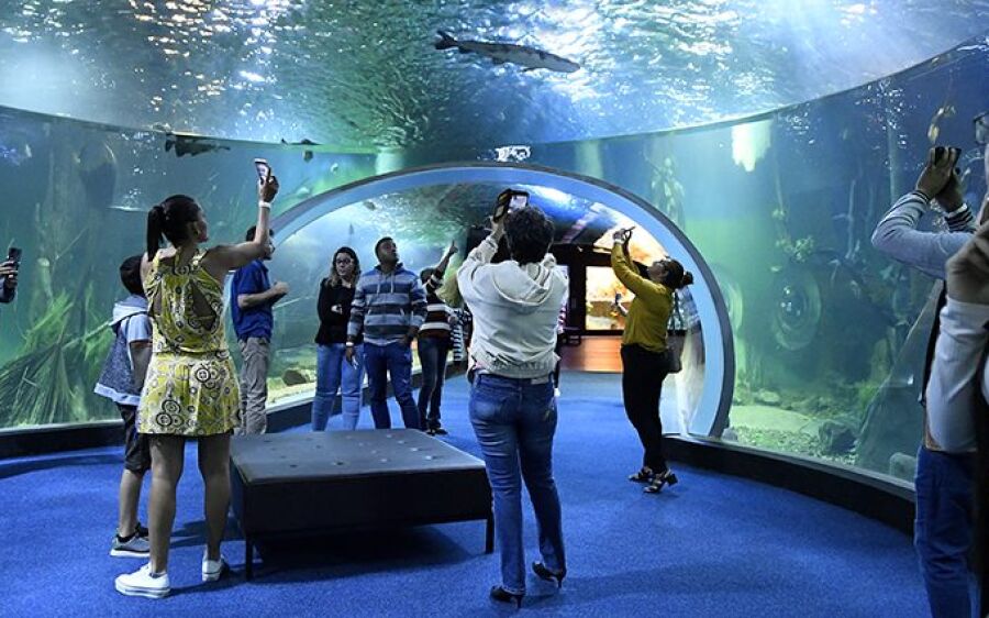 Bioparque já recebeu mais de mil visitantes em dois dias de abertura
