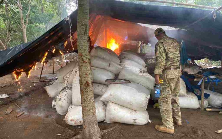 Polícia fecha centro agrícola de produção de maconha na fronteira