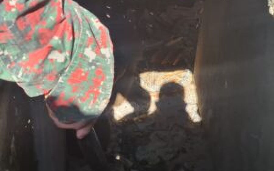 PMA e Bombeiros de Campo Grande resgatam três capivaras de cisternas