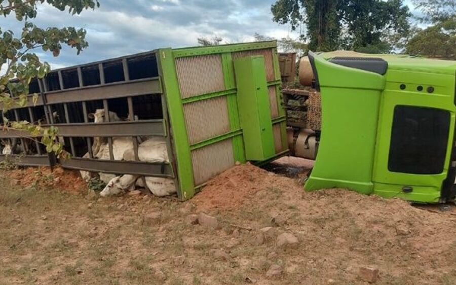 Carreta carregada com gado tomba na BR-419 próximo a Rio Verde