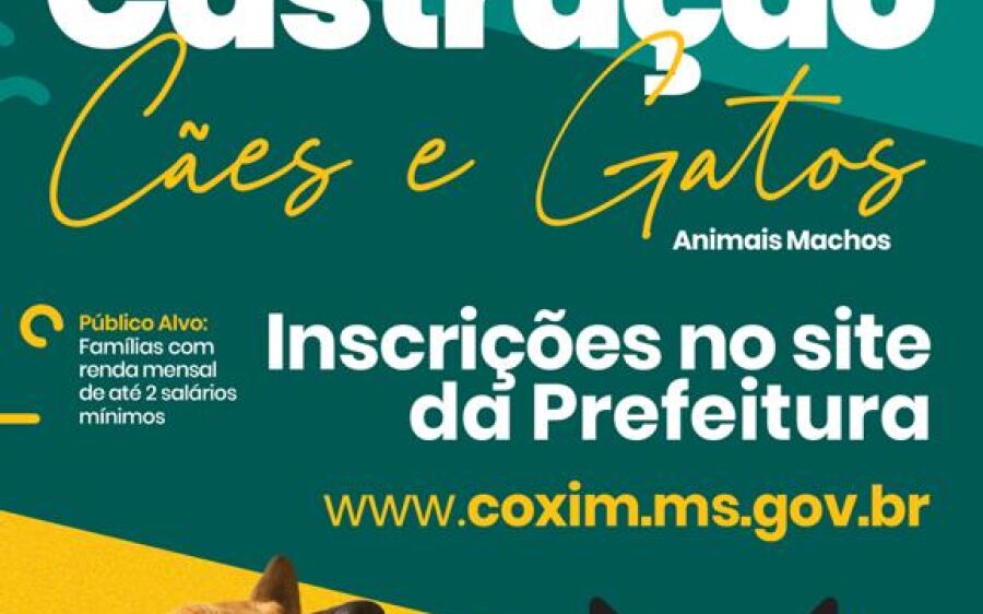 Prefeitura de Coxim lança  programa de castração de cães e gatos