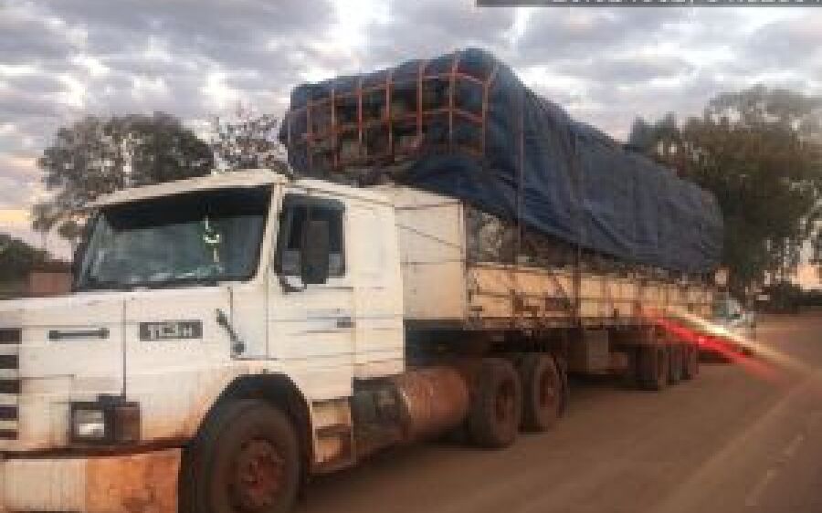 PMA de Campo Grande apreende carreta com carga de 100 m³ de carvão ilegal, fecha carvoaria e autua