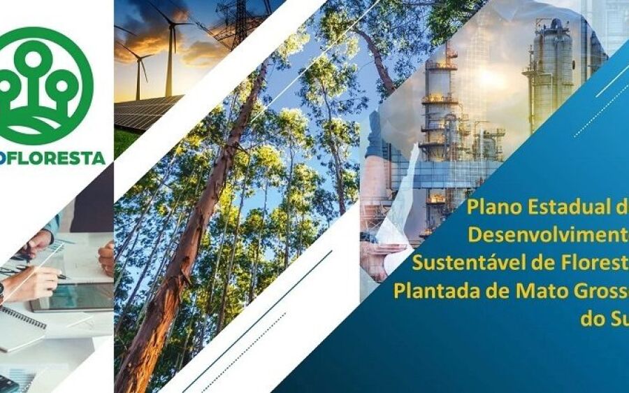 Governo lança  PROFLORESTA para potencializar cadeia produtiva que gera 27,2 mil empregos em MS