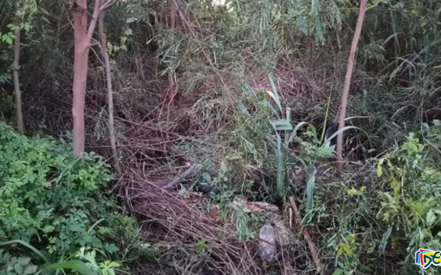 Corpo de idoso é encontrado em matagal à margem da BR-163