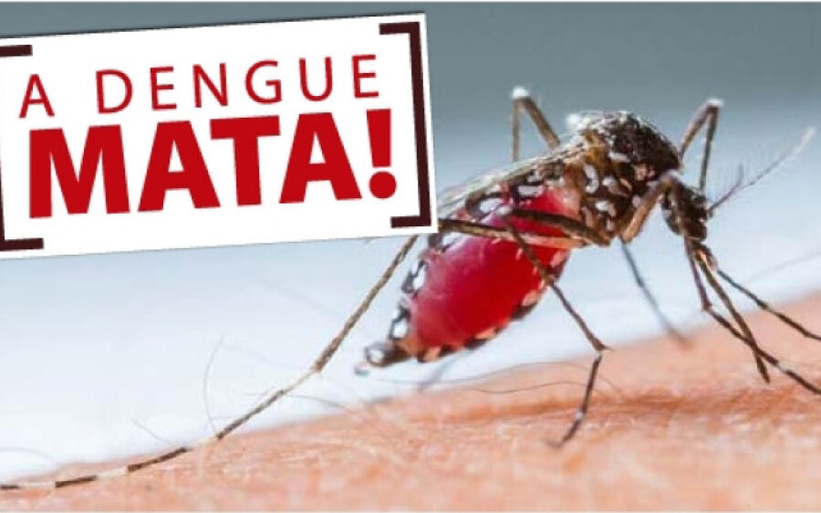 Alerta: casos de dengue têm aumento de 100% em Coxim