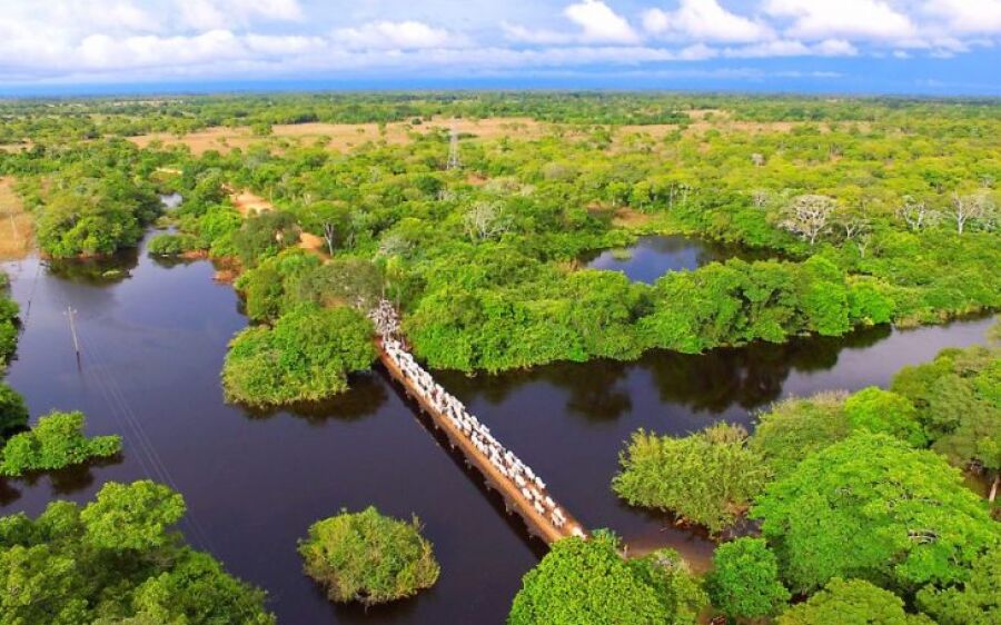 Exemplo em sustentabilidade e descarbonização na produção, Mato Grosso do Sul sedia Agenda Verde