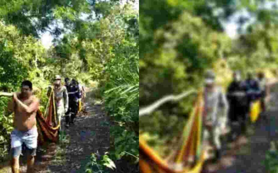 Idoso é resgatado em área de difícil acesso no Pantanal de MS depois de ficar dias sem comer