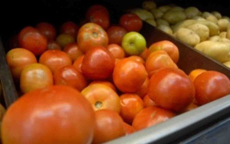 Preço do tomate cai em maio, mas cesta básica de Campo Grande é a 6ª mais cara do Brasil