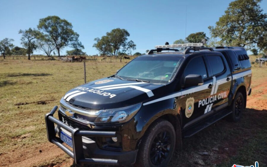 Polícia Civil recupera 13 cabeças de gado desviadas por empregado de fazenda