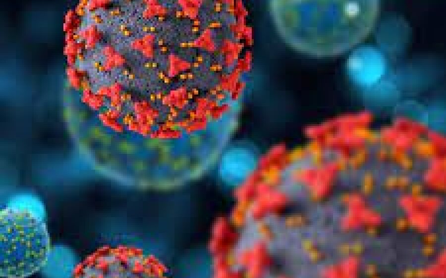 Especialistas esclarecem  reinfecção pelo Covid e  recomendam  vacinação
