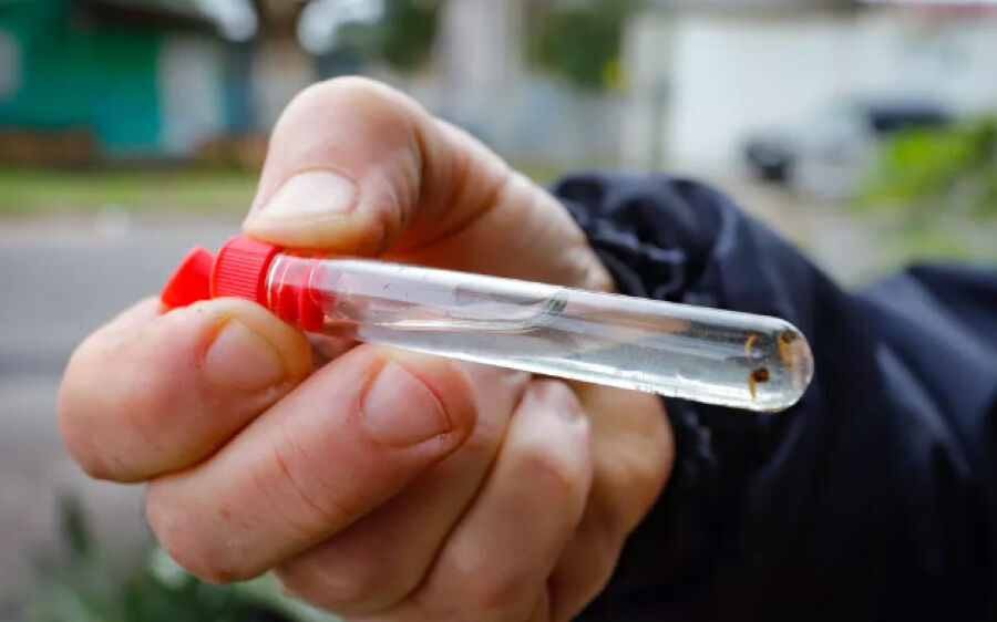 Menina de 11 anos é o 14° óbito por dengue em MS neste ano