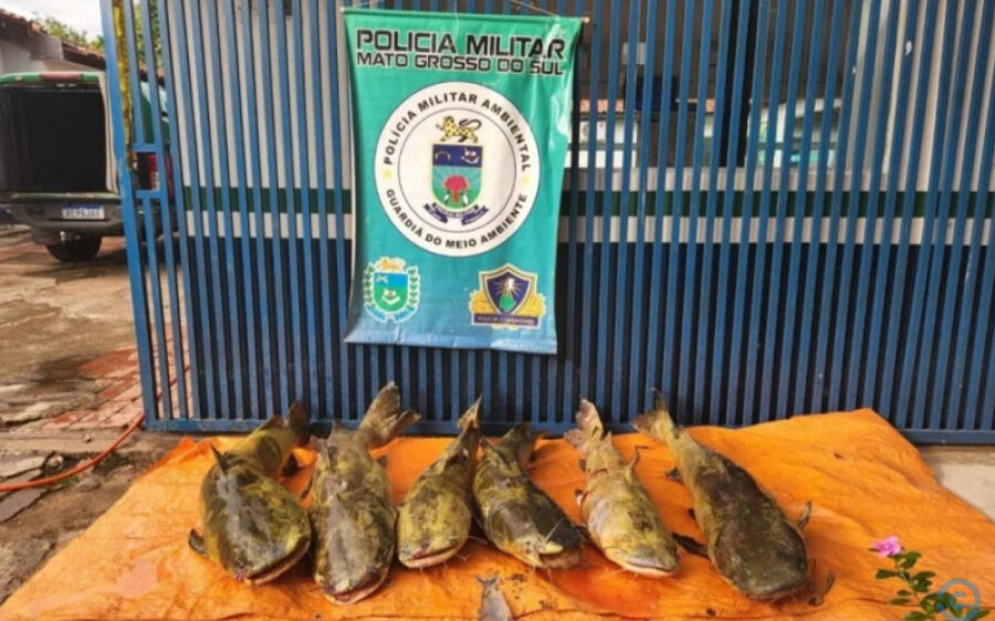 PMA autua em R$ 3 mil pescador profissional dono de rancho por pesca predatória