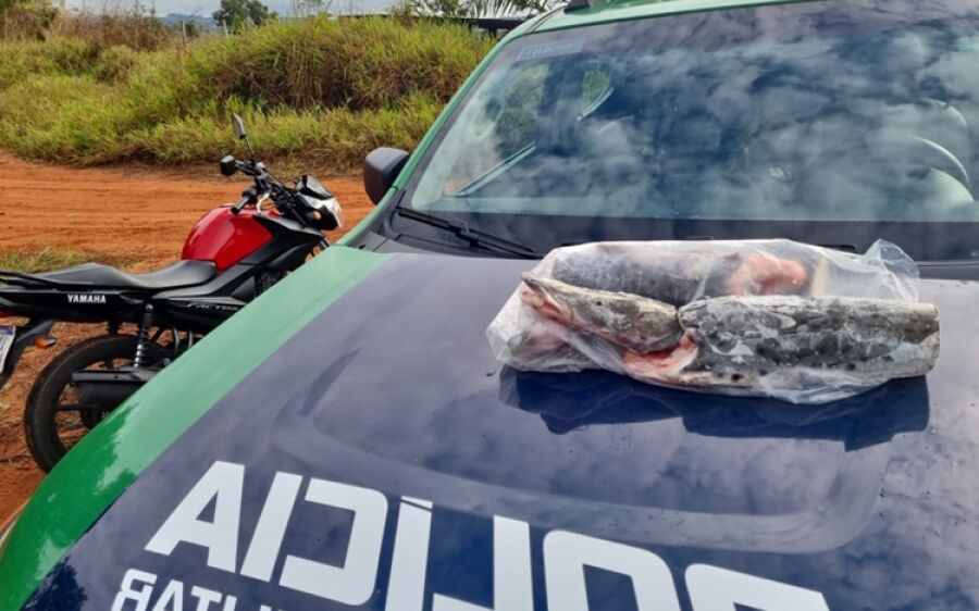 Pedreiro é autuado pela PMA por transportar pescado irregular em Coxim